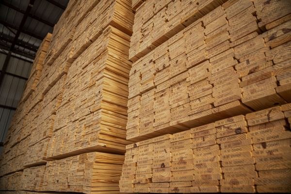 Graded sawn timber stacked in a covered yard